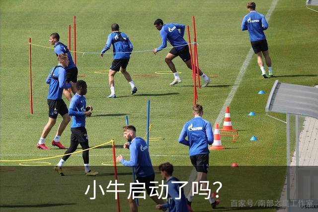 小牛启动了吗？